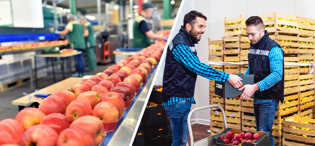 RFID for Food Safety